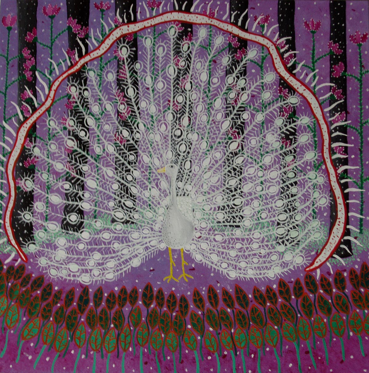 White peacock, SOLD, 50 x 50, acrylic on canvas board